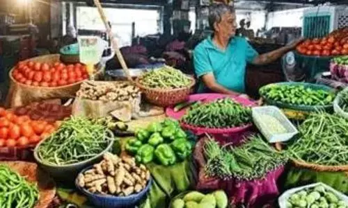 Wholesale Inflation: 13 నెలల కనిష్ఠానికి టోకు ద్రవ్యోల్బణం