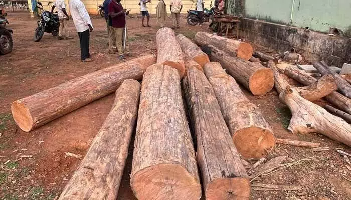 అక్రమ కలప పట్టివేత అక్రమ కలప పట్టివేత