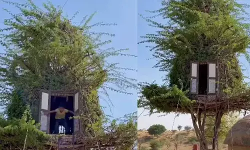 అద్భుతం.. స్మార్ట్ హౌస్ కాదు, హార్ట్ హౌస్ ఇది! చెట్టు కొమ్మల్లో చిన్నారుల కలల నివాసం!