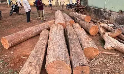 అక్ర‌మ క‌ల‌ప ప‌ట్టివేత‌