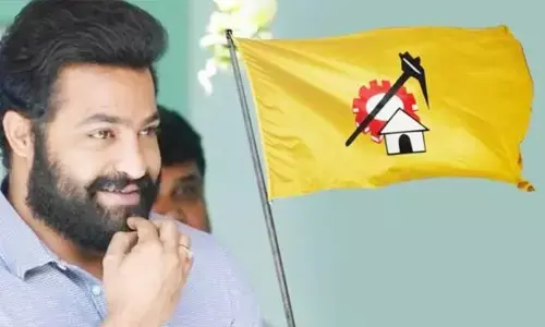 TDP:టీడీపీ మహానాడుకి జూ.ఎన్టీఆర్.. క్లారిటీ ఇదే!?