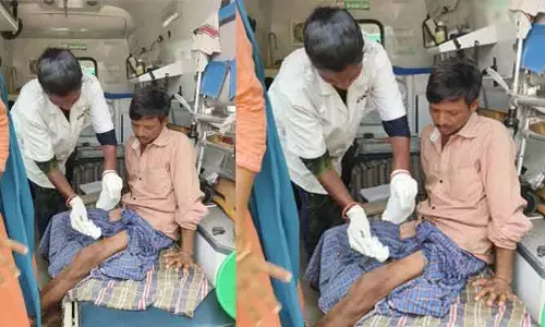 అడవిపంది దాడిలో తునికాకు కూలీకి గాయాలు