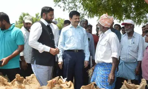 కొనుగోలులో చిటకోడూరు కేంద్రం రికార్డ్..