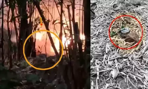 ఛత్తీస్‌గఢ్‌లో మావోయిస్టుల కుట్ర భగ్నం.. ఐఈడీ బాంబులను నిర్వీర్యం చేసిన భద్రతా బలగాలు