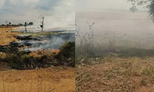 వరి కొయ్యలకు నిప్పు.. భూసారానికి ముప్పు