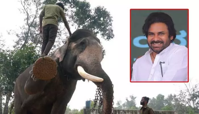 కుంకీ ఏనుగుల ప్రత్యేకత ఇదే.. పవన్ కల్యాణ్ ట్వీట్ కుంకీ ఏనుగుల ప్రత్యేకత ఇదే.. పవన్ కల్యాణ్ ట్వీట్