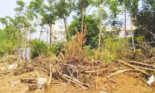 పార్కుపై ప్రైవేటు కబ్జా: జీహెచ్‌ఎంసీ నిర్లక్ష్యం బహిర్గతం