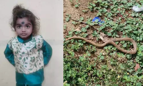 పాముకాటుకు గురైన బాలుడు మృతి