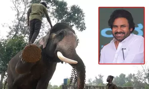 కుంకీ ఏనుగుల ప్రత్యేకత ఇదే.. పవన్ కల్యాణ్ ట్వీట్