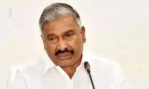 మా జోలికి రాకుండా ఆదేశాలివ్వండి: హైకోర్టులో పెద్దిరెడ్డి పిటిషన్