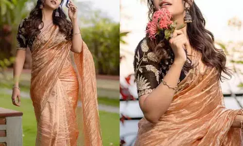 తన ఒంపు సొంపులతో కట్టి పడేస్తున్న యంగ్ హీరోయిన్.. మీరు శారీలోనే చాలా బాగుంటారంటూ కామెంట్స్