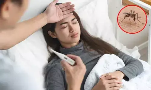 Dengue : వర్షాల నేపథ్యంలో ఫీవర్ వస్తోందా..? ఈ లక్షణాలు కనిపిస్తే బీ కేర్‌ఫుల్!!