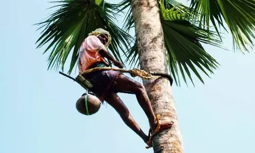 గౌడన్నల జీవితాలకు భరోసా ఏది?