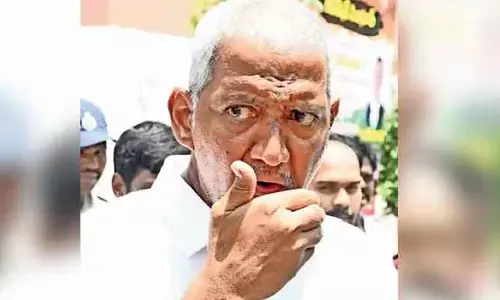 నకిలీ ఇళ్ల పట్టాల కేసు.. పోలీసుల కస్టడీలోకి వల్లభనేని వంశీ