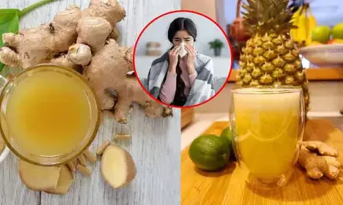 Health Tips : పైనాపిల్ జ్యూస్‌తో ఇది కలిపి తీసుకుంటే చాలు..! దగ్గు, జలుబు, అజీర్తి, గొంతునొప్పి దెబ్బకు పరార్ !