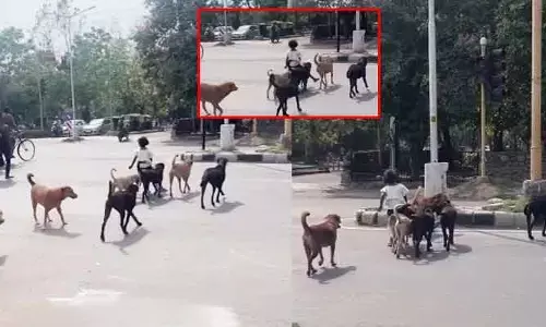 Viral video : ‘‘Z+ Security‌’’తో వీఐపీ ఎంట్రీ ఇచ్చిన చిన్నారి.. అసలు విషయం తెలిస్తే షాక్ అవ్వాల్సిందే..!