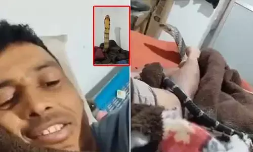 Snake bite : బెడ్‌పై నిద్రపోతుండగా యుకుడిపైకి పాకుతూ వచ్చిన నాగుపాము.. అంతలోనే ఏం చేసిందంటే..(Viral video)