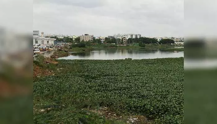 చెరబడుతున్నారు.. చెరబడుతున్నారు..