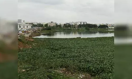 చెరబడుతున్నారు..