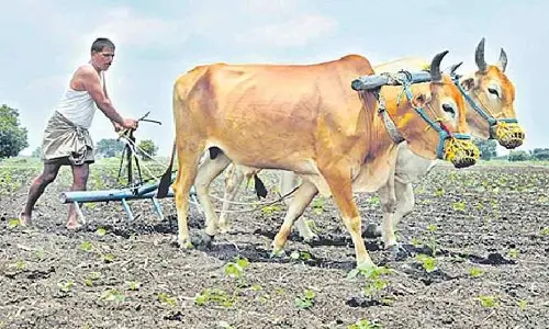 ‘సాగు’ సజావుగా సాగేనా....