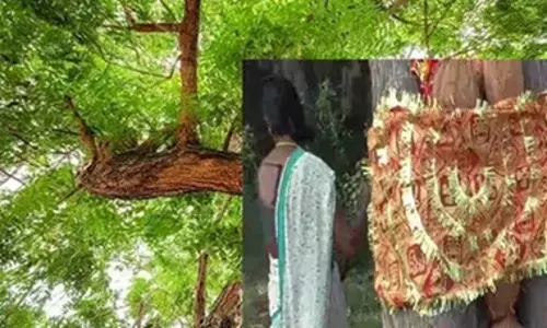 ఆకుపచ్చని చీరలో సత్తెమ్మ చెట్టు