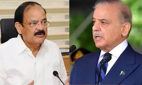 మూల్యం చెల్లించుకోక తప్పదు: పాకిస్థాన్‌కు మాజీ ఉపరాష్ట్రపతి స్ట్రాంగ్ వార్నింగ్