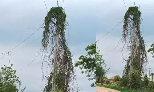అధికారుల నిర్లక్ష్యానికి నిలువెత్తు నిదర్శనం..