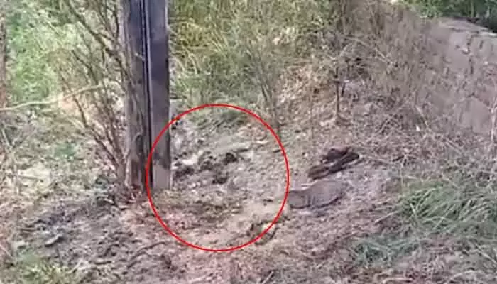 Bomb Blast: అమృత్సర్లో భారీ బాంబ్ బ్లాస్ట్.. దుండగుడికి తీవ్ర గాయాలు Bomb Blast: అమృత్సర్లో భారీ బాంబ్ బ్లాస్ట్.. దుండగుడికి తీవ్ర గాయాలు