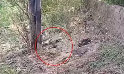 Bomb Blast: అమృత్‌సర్‌లో భారీ బాంబ్ బ్లాస్ట్.. దుండగుడికి తీవ్ర గాయాలు