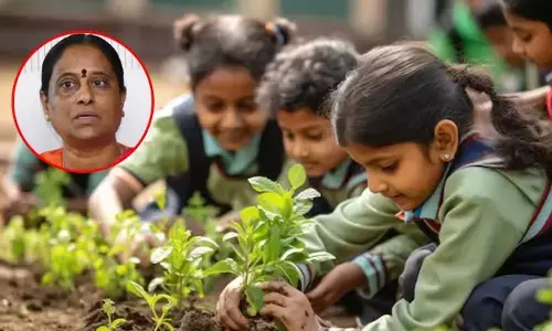 గులాబీ, మందారంతో ఆ మొక్కలు సిద్ధం చేయండి.. అధికారులకు మంత్రి కొండా సురేఖ కీలక ఆదేశాలు