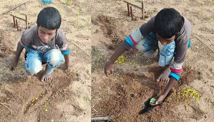 శభాష్ చిన్నోడా.. రోడ్డు ప్రమాదంలో చనిపోయిన పక్షి.. బాలుడి చర్యకు ప్రశంస..! శభాష్ చిన్నోడా.. రోడ్డు ప్రమాదంలో చనిపోయిన పక్షి.. బాలుడి చర్యకు ప్రశంస..!