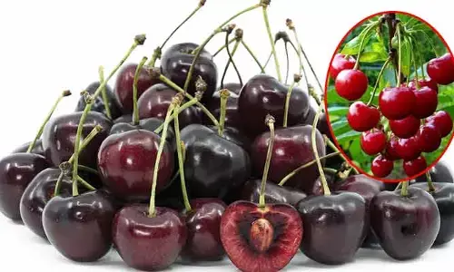 Cherries : ఈ ఒక్క తింటే పండు చాలు.. ఎసిడిటీ, క్యాన్సర్ అన్నీ పరార్ !