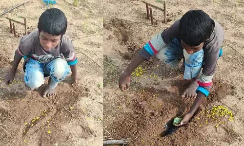 శభాష్ చిన్నోడా.. రోడ్డు ప్రమాదంలో చనిపోయిన పక్షి.. బాలుడి చర్యకు ప్రశంస..!