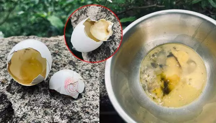 అంగన్వాడీ కేంద్రాల్లో పాడైన ఎగ్స్ కలకలం..! అంగన్వాడీ కేంద్రాల్లో పాడైన ఎగ్స్ కలకలం..!