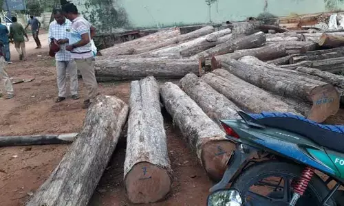 అక్ర‌మంగా త‌ర‌లిస్తున్న టేకు క‌ల‌ప ప‌ట్టివేత‌..