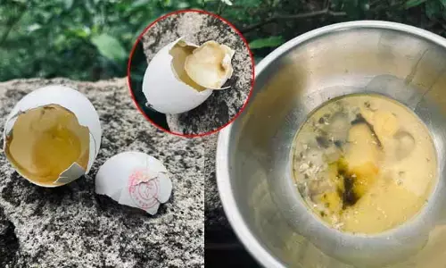 అంగన్వాడీ కేంద్రాల్లో పాడైన ఎగ్స్ కలకలం..!