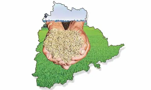 కరెంట్ ఇవ్వలేదన్నరు.. మరి రికార్డు పంటలెలా పండినయ్?