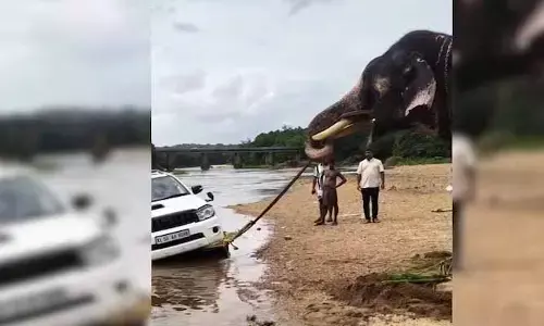 ఏనుగా మజాకా.. నదిలో చిక్కుకున్న కారును ఎలా లాగిందో చూడండి!