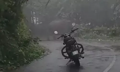 Viral News:బైకర్లకు ఎదురైనా ఏనుగు.. ఒక్కసారిగా బైక్ ఆపడంతో!?