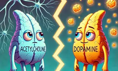 Dopamine : డోపమైన్ రిలీజ్.. ఆనందానికే కాదు.. ఆ విషయాల్లోనూ కీ రోల్ పోషిస్తుంది..!