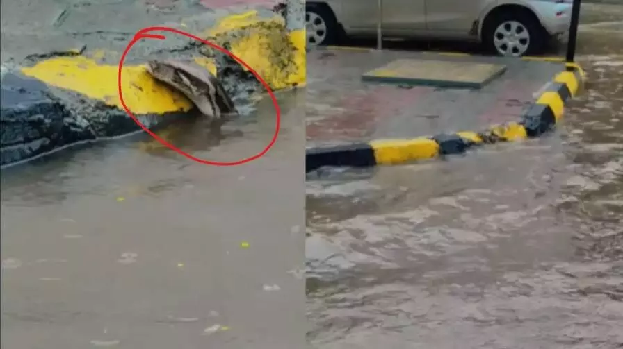 Mumbai rains: ముంబాయిలో భారీ వర్షాలు..ఏకంగా రోడ్డుపైకే వచ్చిన కొండచిలువ..వీడియో వైరల్ Mumbai rains: ముంబాయిలో భారీ వర్షాలు..ఏకంగా రోడ్డుపైకే వచ్చిన కొండచిలువ..వీడియో వైరల్