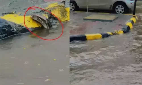 Mumbai rains: ముంబాయిలో భారీ వర్షాలు..ఏకంగా రోడ్డుపైకే వచ్చిన కొండచిలువ..వీడియో వైరల్