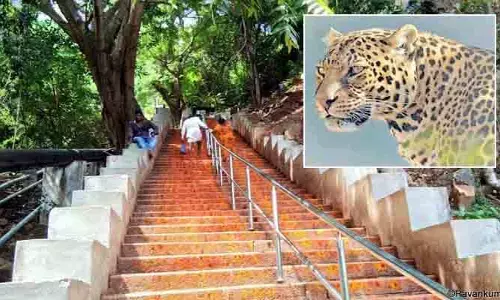శ్రీవారి భక్తులకు హెచ్చరిక.. మెట్ల మార్గంలో చిరుత కలకలం