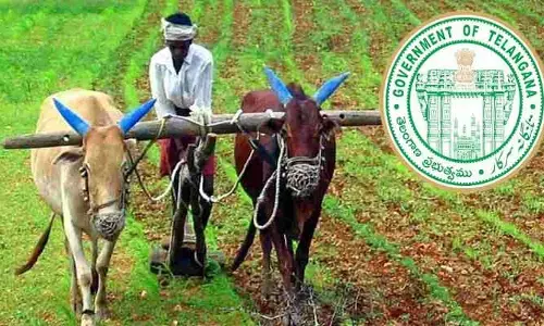 అగ్రికల్చర్ రైజింగ్.. వరి పంటలో పంజాబ్ ను దాటేసిన తెలంగాణ