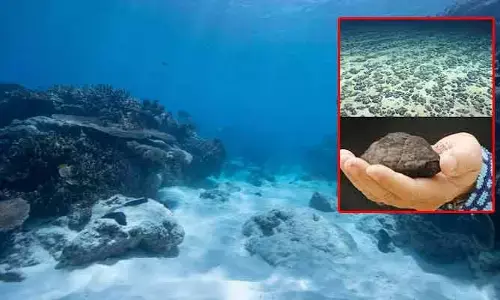Sea rocks : సముద్ర జీవులకు ప్రాణం పోస్తున్న శిలలు.. సూర్య రశ్మిలేకున్నా ఆక్సిజన్‌ను ఉత్పత్తి చేస్తూ..