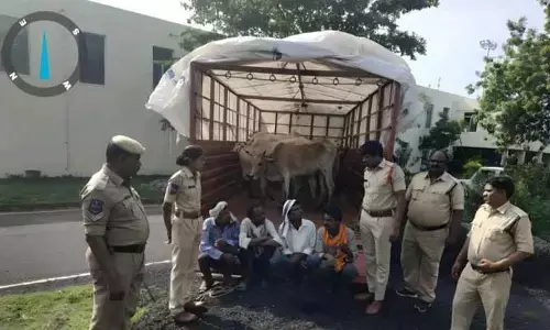 అక్రమంగా పశువుల రవాణా.. ఏడుగురిపై కేసు నమోదు..