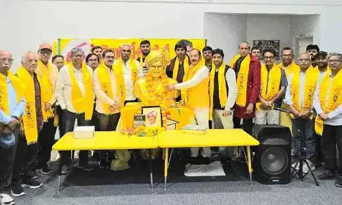 Mini Mahanadu : అమెరికాలో ఘనంగా మినీ మహానాడు