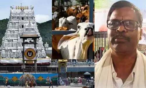 టీటీడీపై దుష్ప్రచారం.. వైసీపీ హస్తంపై అనుమానాలు..?