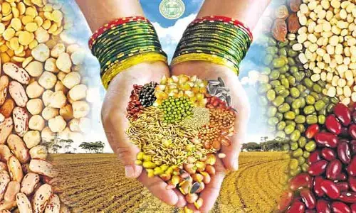 నేటి నుంచి రైతు వేదికల్లో విత్తన మేళా