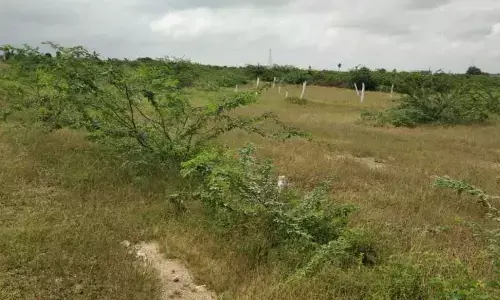 గుర్రంగూడ భూములపై హైడ్రా గురి!